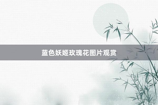 蓝色妖姬玫瑰花图片观赏