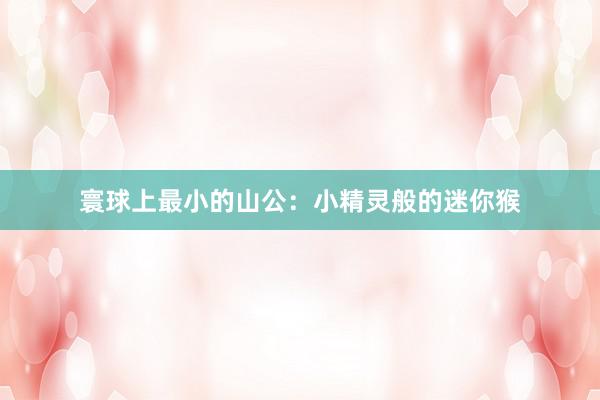 寰球上最小的山公：小精灵般的迷你猴